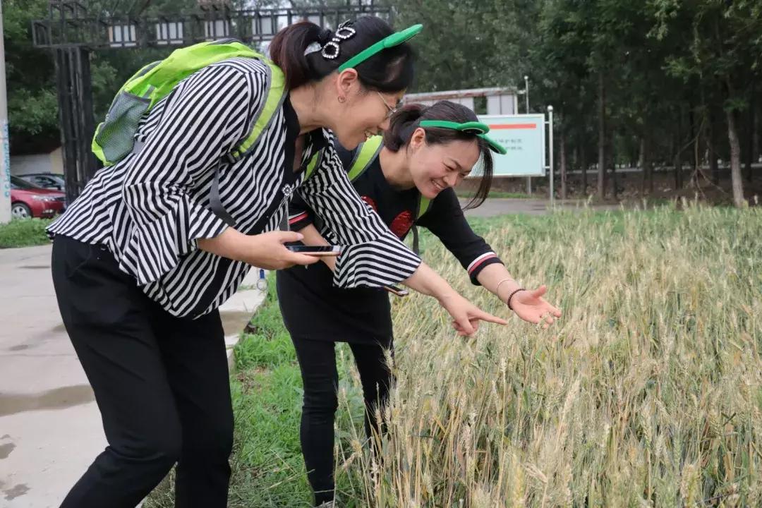 环保最新行动，科技引领绿色生活新篇章启动