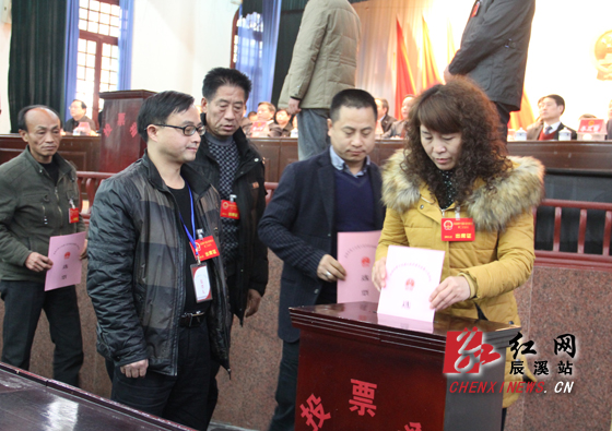 辰溪县最新领导分工引领变革铸就辉煌成就展望