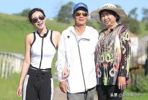 母亲被褥最新动态与选购保养指南，从入门到进阶的全面指南