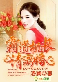 机长请离婚，婚姻与职业的交织最新章节解析